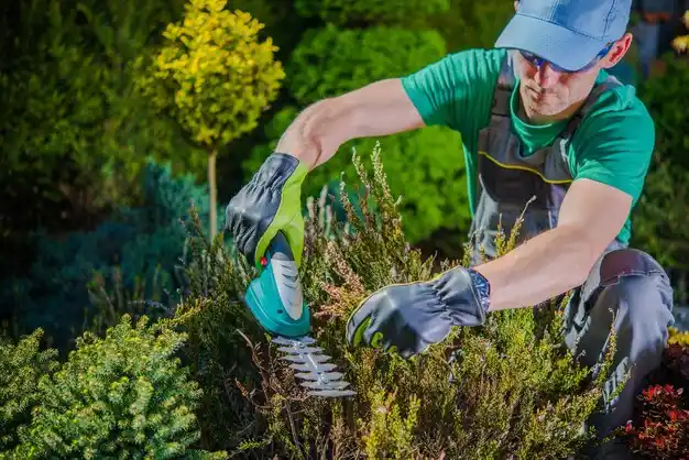 landscaping services Alexandria